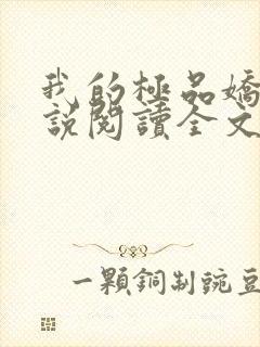 我的极品娇妻小说阅读全文免费