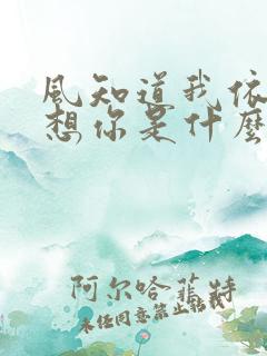 风知道我依然在想你是什么歌