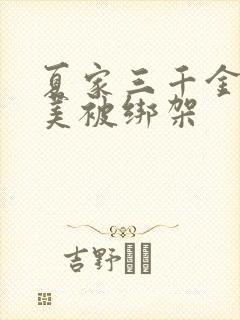 夏家三千金夏天美被绑架