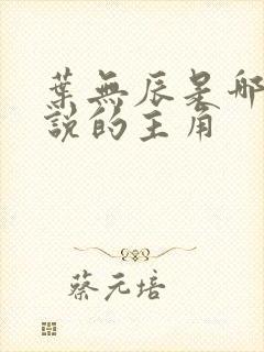 叶无辰是哪部小说的主角