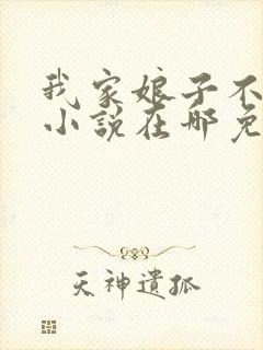 我家娘子不对劲小说在哪免费下载