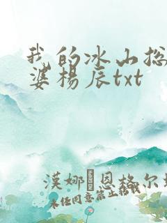 我的冰山总裁老婆杨辰txt