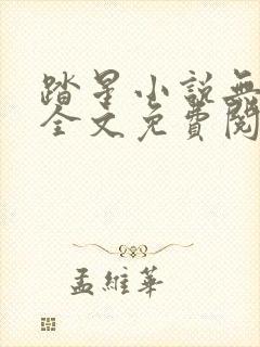 踏星小说无弹窗全文免费阅读