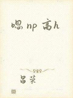 嗯 np 高h