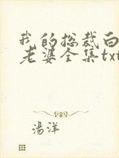 我的总裁白富美老婆全集txt下载