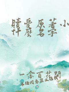 赎爱原著小说叫什么名字