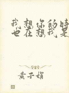 我想你的时候你也在想我是什么歌