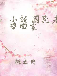小说 国民老公带回家