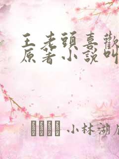 王老头喜欢妈妈原著小说叫什么名字