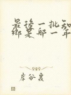 最后一批知青下乡是哪一年