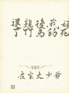 退亲后,我嫁给了竹马的死对头