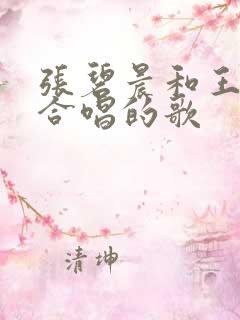 张碧晨和王赫野合唱的歌