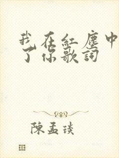 我在红尘中遇见了你歌词