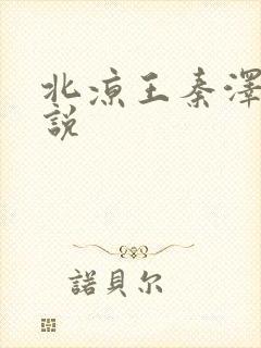 北凉王秦泽的小说