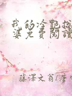 我的冷艳总裁老婆免费阅读全文