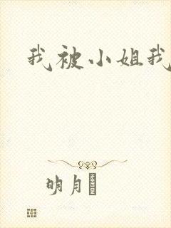 我被小姐我调教