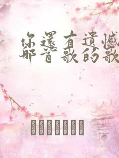 你还有遗憾吗是哪首歌的歌词