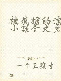 被疯抢的漂亮攻小说全文免费阅读无弹窗