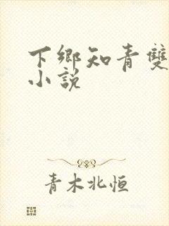 下乡知青双男主小说