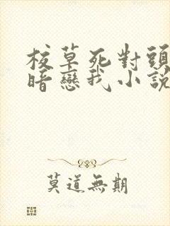 校草死对头竟然暗恋我小说免费阅读