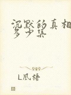 沉默的真相总共多少集