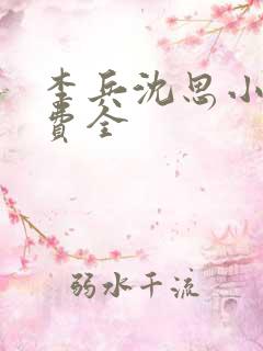 李兵沈思小说免费全