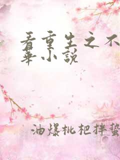 看重生之不负韶华小说