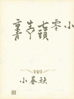 重生七零小辣媳青丫头