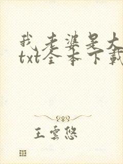 我老婆是大明星txt全本下载