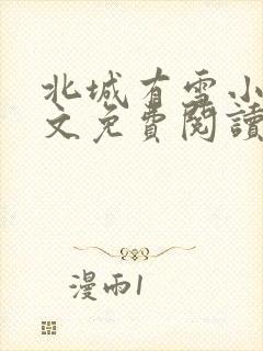 北城有雪小说全文免费阅读无弹窗