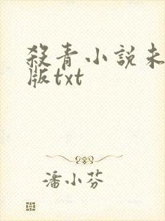 杀青小说未删减版txt