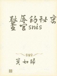 耻辱的秘密女搜查官snis