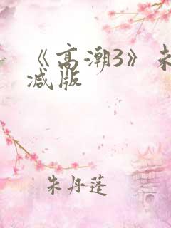 《高潮3》未删减版