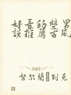 好看的双男主小说推荐古风