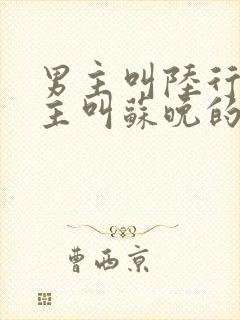 男主叫陆行舟女主叫苏晚的小说