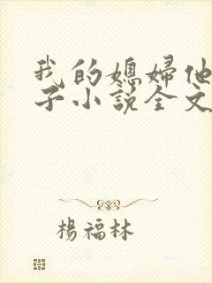 我的媳妇他的妻子小说全文阅读