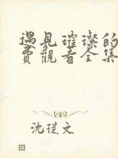 遇见璀璨的你免费观看全集