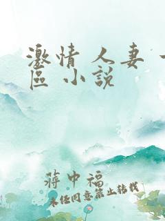 激情 人妻 一区 小说