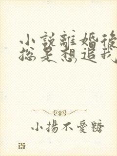 小说离婚后前夫总是想追我免费读