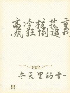 高冷校花重生了,疯狂倒追我小说