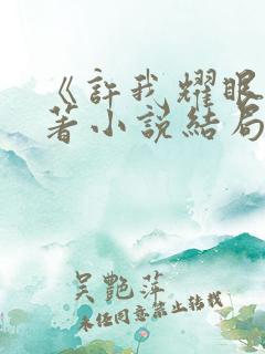 《许我耀眼》原著小说结局