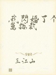 ,我闪婚了个亿万总裁