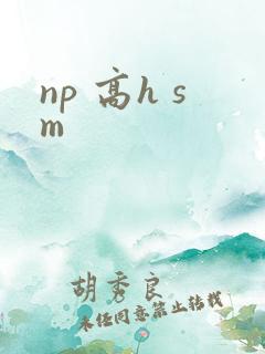 np 高h sm