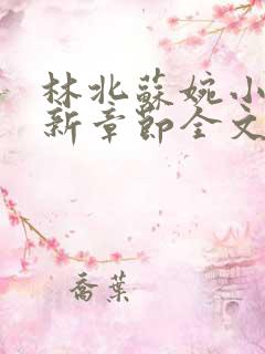 林北苏婉小说最新章节全文阅读