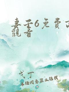 妻子6免费高清观看