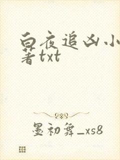 白夜追凶小说原著txt