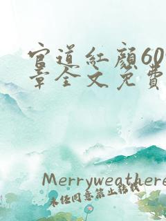 官道红颜609章全文免费阅读