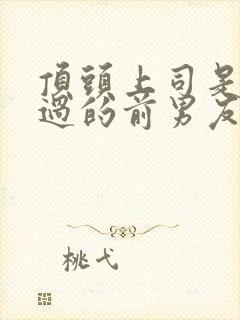 顶头上司是我渣过的前男友奶油兔子