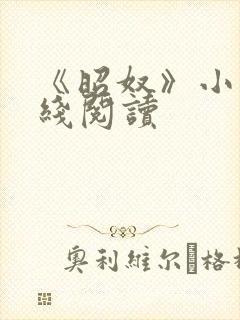 《昭奴》小说在线阅读