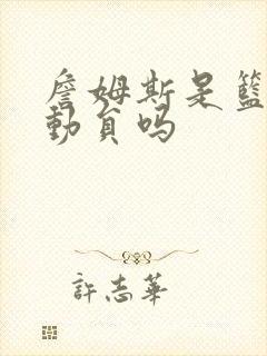 詹姆斯是篮球运动员吗